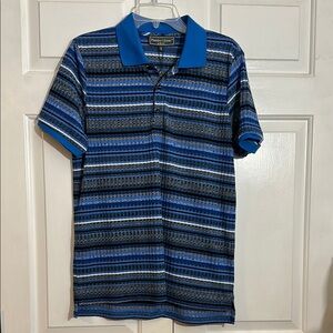 Paisley & Gray Slim fit Men's Blue Striped Polo Shirt size large